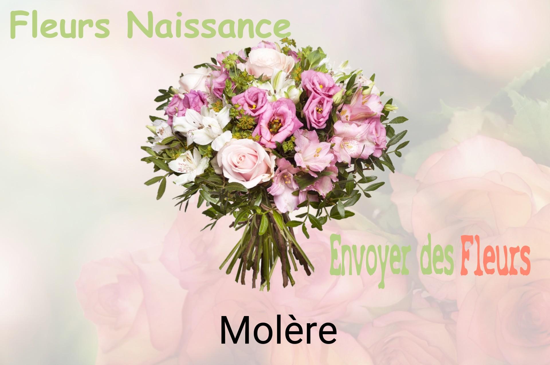 Bouquet de fleurs de naissance livré à Molère