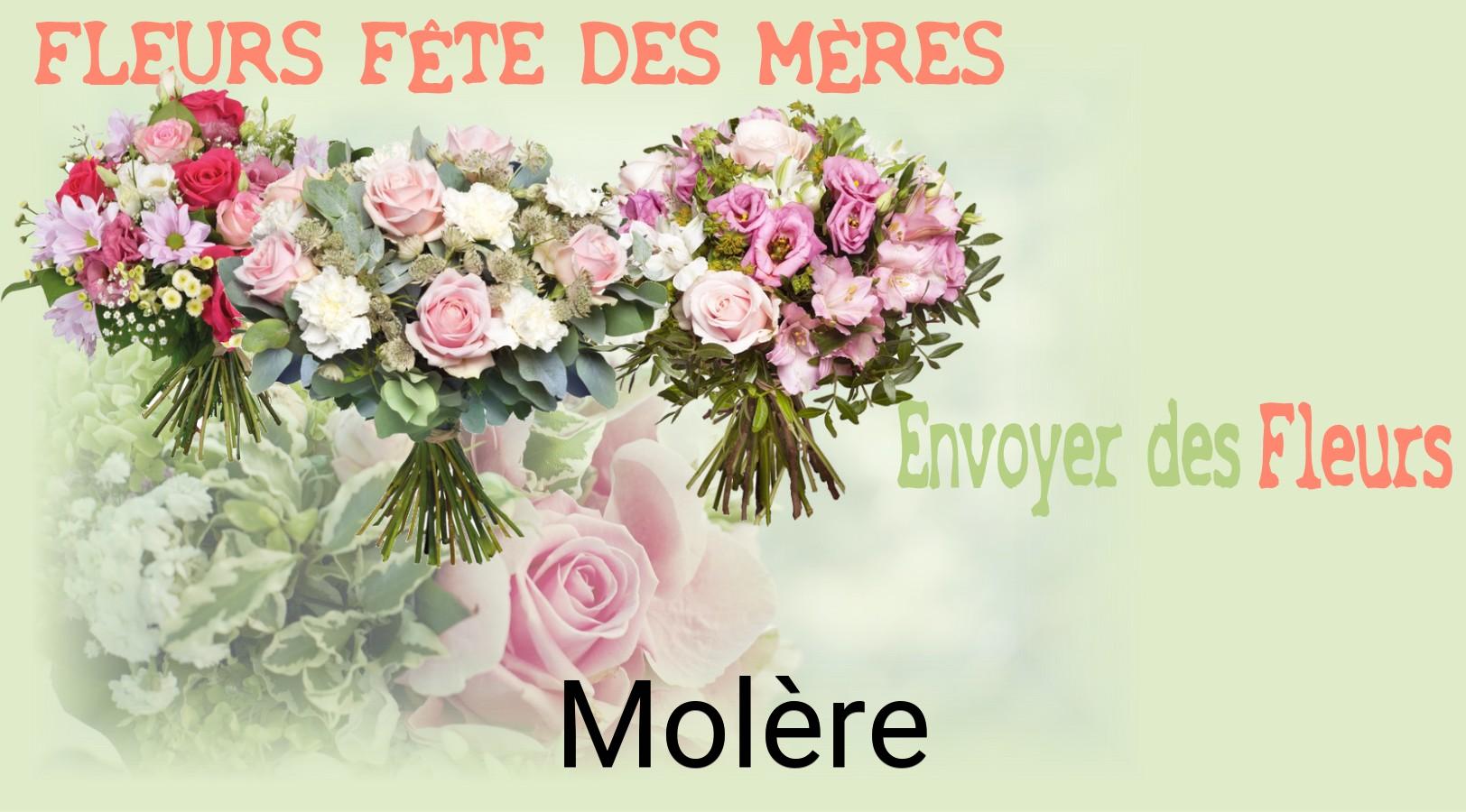 Bouquet de Fête des Mères livré à Molère